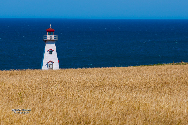 Cape Tryon Light 0694